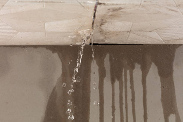 Professional Water Damage Inspection technician working in Hamburg, PA